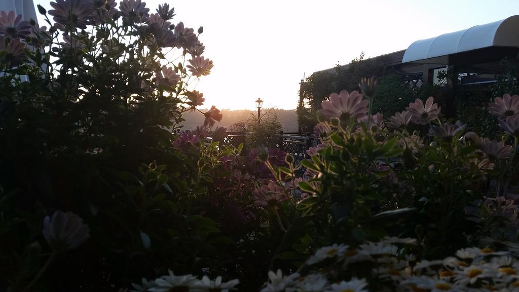 Hotel Villa Degli Angeli Castel Gandolfo Esterno foto